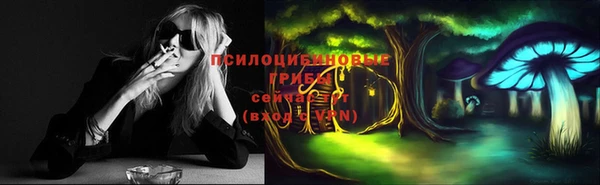 прущие крисы Зерноград