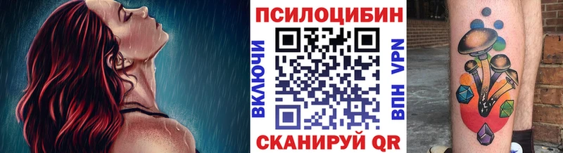 Купить закладки  Рассказово  Псилоцибиновые грибы Psilocybe 